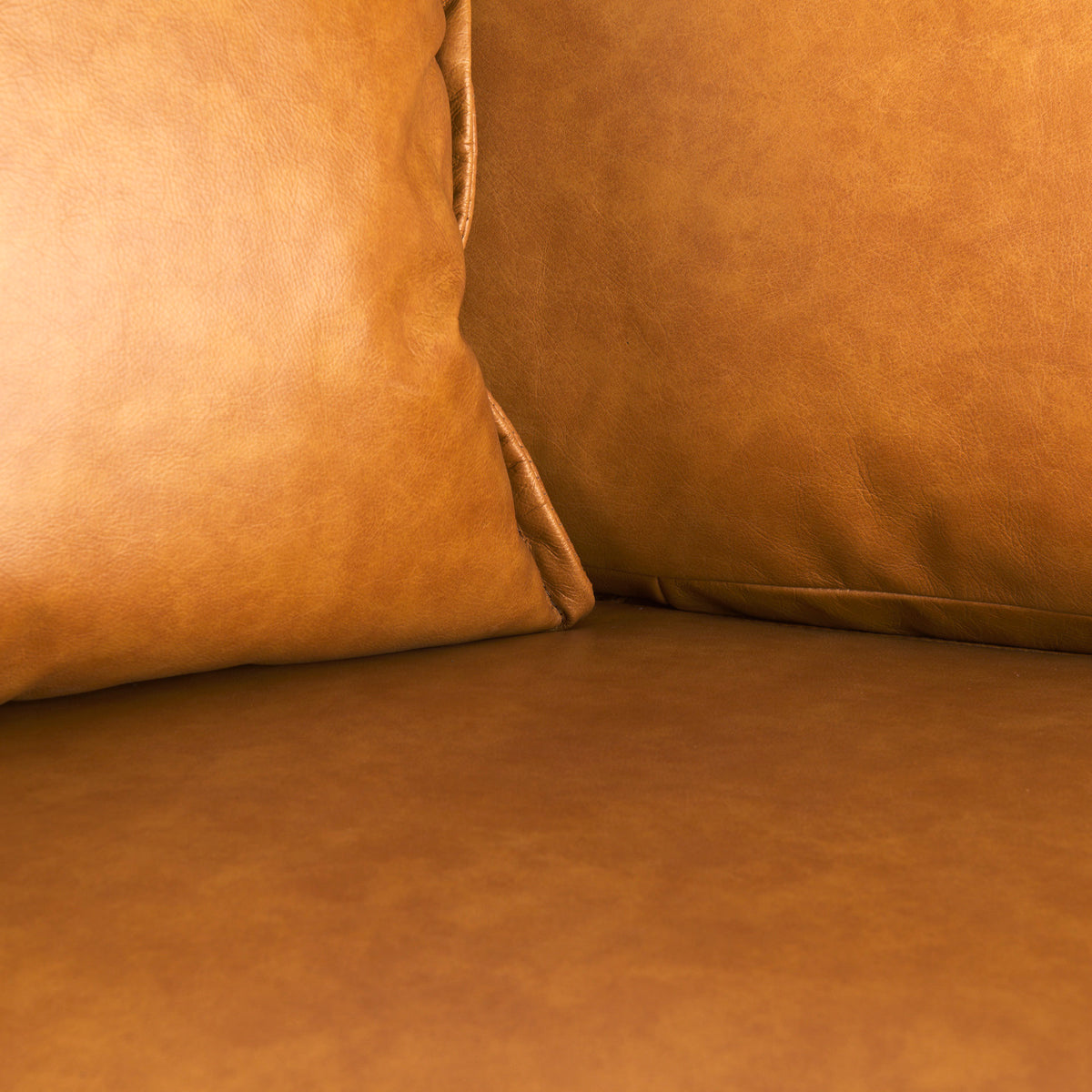 D'Arcy Tan Genuine Leather Loveseat
