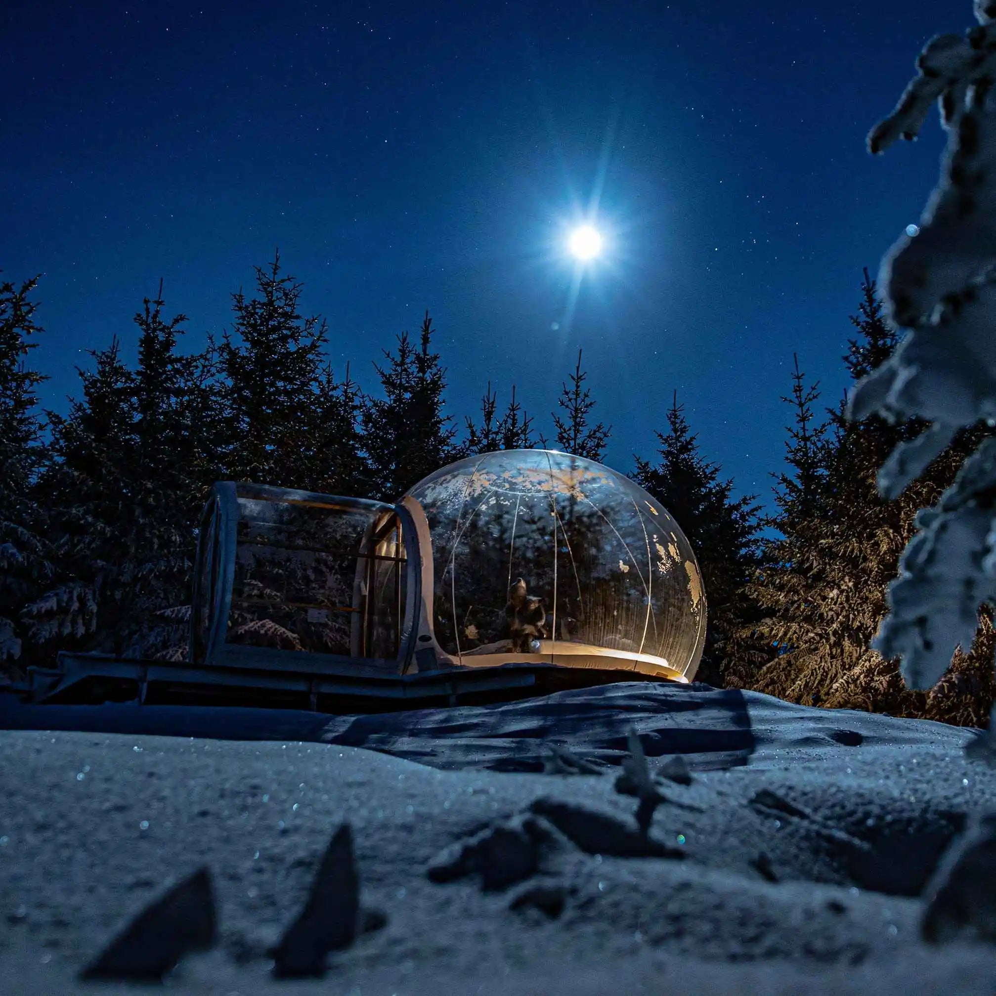 Inflatable Bubble House